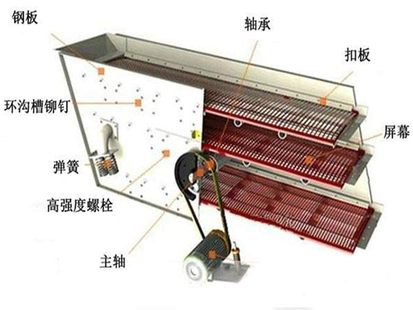 振动筛内部结构